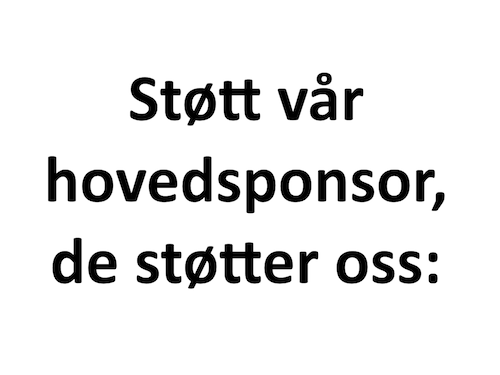Sponsor logo #1